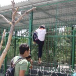 تور مشهد 3