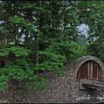 تور مشهد 4