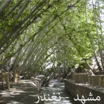تور مشهد3