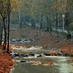 park-jangali-vakil-abad