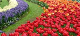 نمايشگاه دائمی محيط زيست تور مشهد