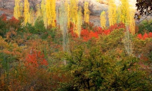 تور مشهد ، روستای زشک مشهد