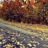 جاذبه گردشگردی شاندیز در مشهد