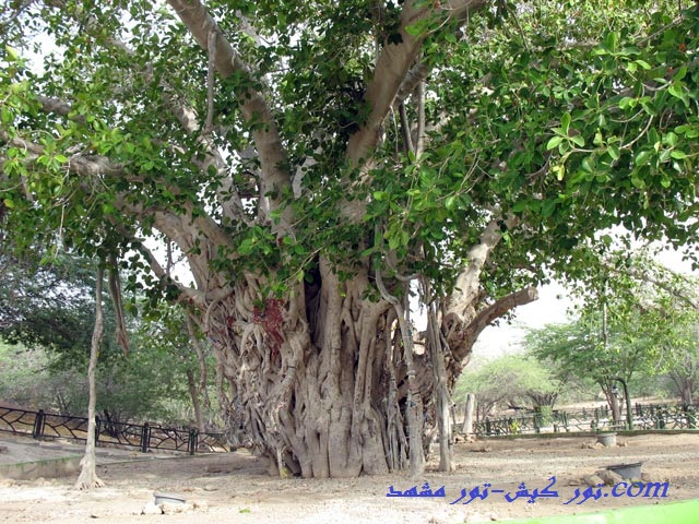 https://xn----4mcbuhcsd6mvade17j9n.com/.kishtpur03