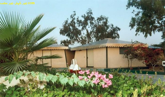 تور کیش-تور مشهد.com hotel shabaviz  kish 1