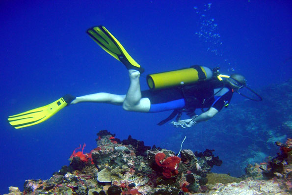 تور_کیش-تور_مشهد.com_diving in kish 1
