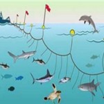 تور_کیش-تور_مشهد.com_fishing in kish1