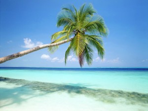 اطلاعاتی در مورد تور کیش در بهار