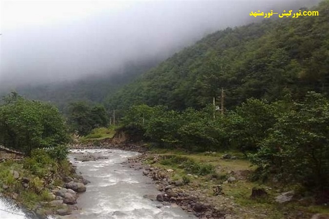 ایران, مازندران, جنگل سه هزار
